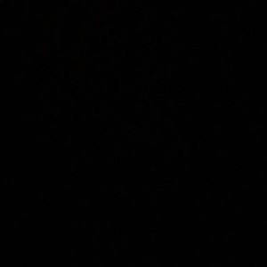 Meet your Posher, Amelia